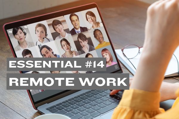 Essential #14: Secure Remote Work Environments